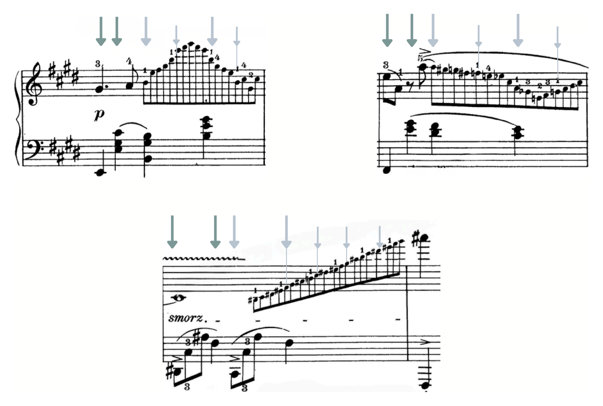 Three cadenza and fioritura runs with teal arrows marking an added inner pulse across the rapid notes.