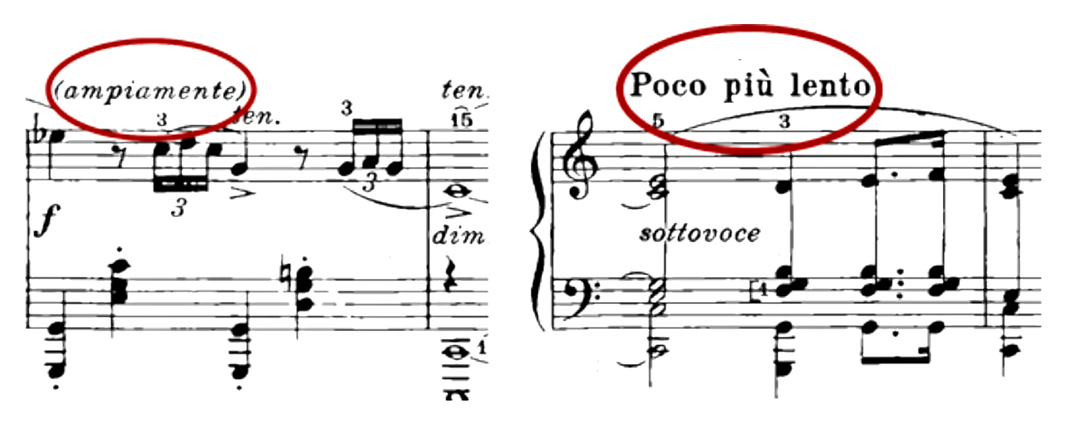 Two Chopin excerpts with the markings (ampiamente) and Poco più lento circled in red.