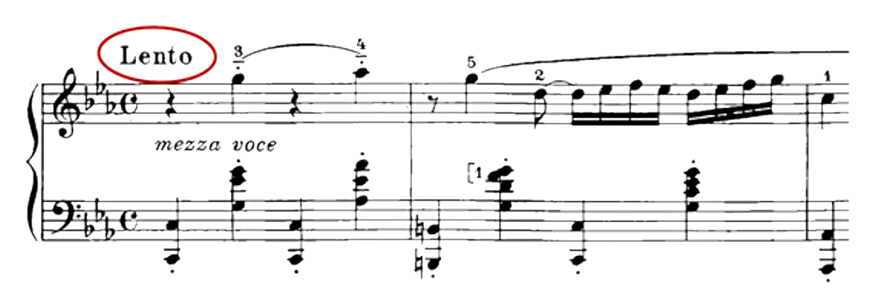 A Chopin excerpt with only the tempo marking Lento circled in red.