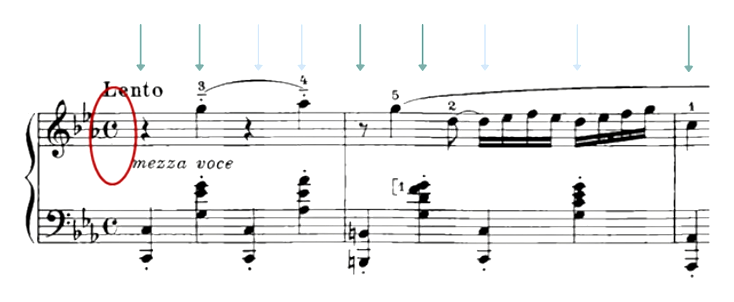 A Chopin excerpt marked Lento, mezza voce, with teal beat arrows above the staff and the opening time signature circled in red.