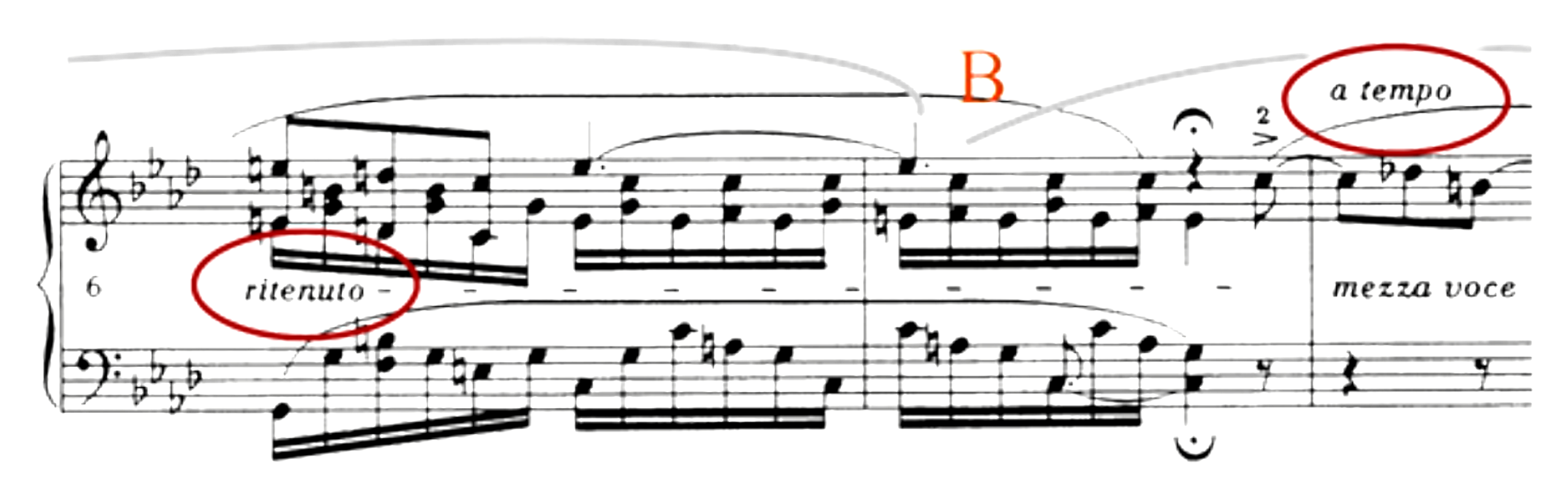 A Chopin excerpt with the markings ritenuto and a tempo circled in red and a form section labelled B.