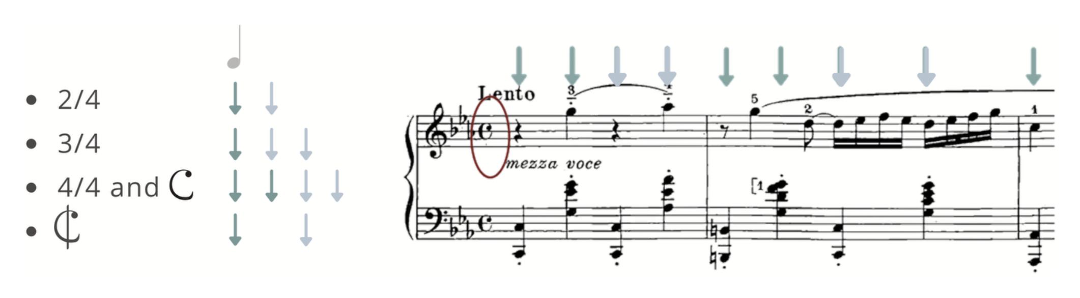 Simple-time meters 2/4, 3/4, 4/4 and C with rows of teal arrows showing the alternation of stronger and lighter beats, beside a Lento excerpt.