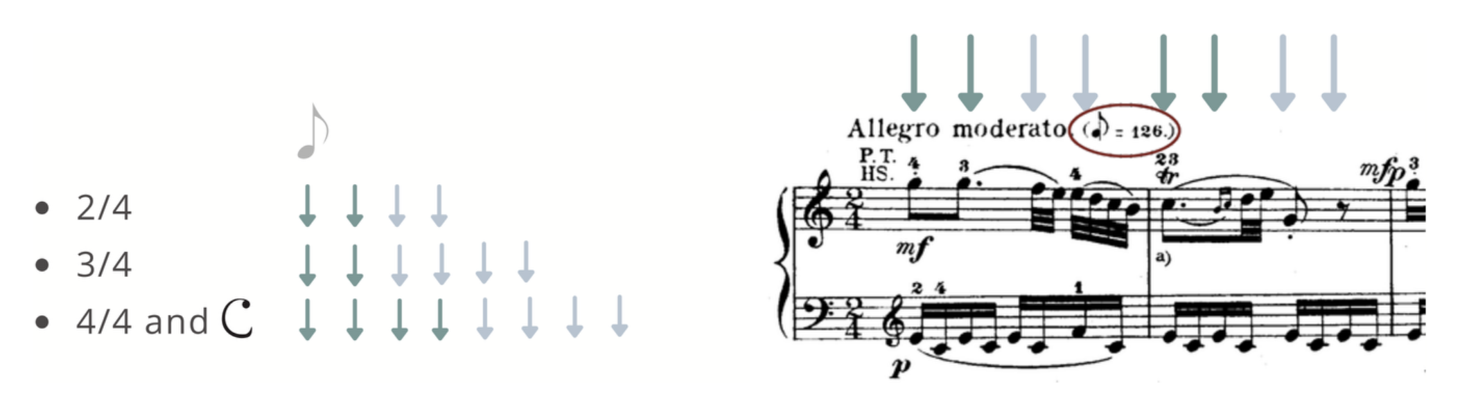 Simple-time meters 2/4, 3/4, 4/4 and C with rows of teal arrows, beside an Allegro moderato excerpt.