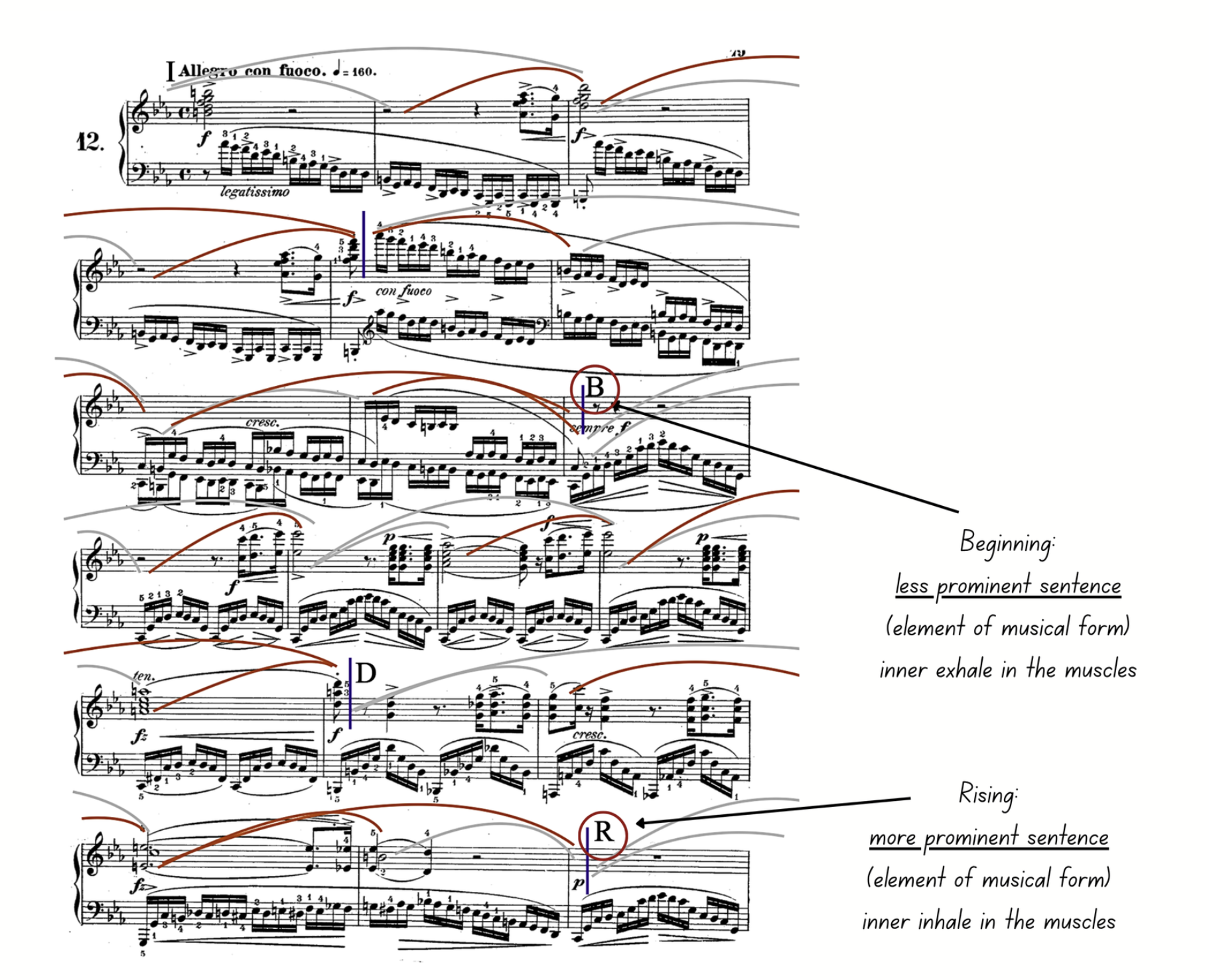 Annotated Chopin étude score. An arrow to the B marker reads “Beginning: less prominent sentence (element of musical form), inner exhale in the muscles”; an arrow to the R marker reads “Rising: more prominent sentence, inner inhale in the muscles.”