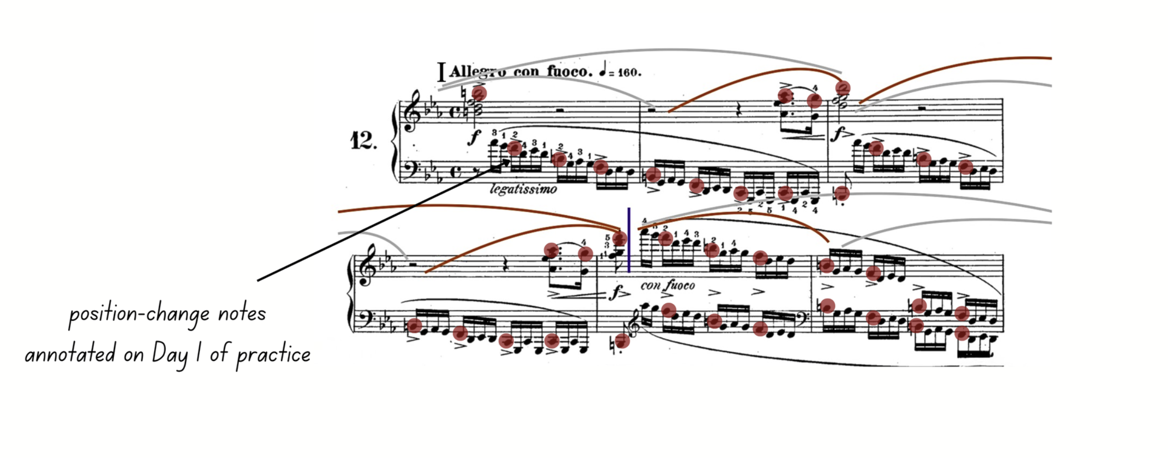 Annotated Chopin étude score with the position-change notes circled in red across both staves. A note reads “position-change notes annotated on Day 1 of practice.”