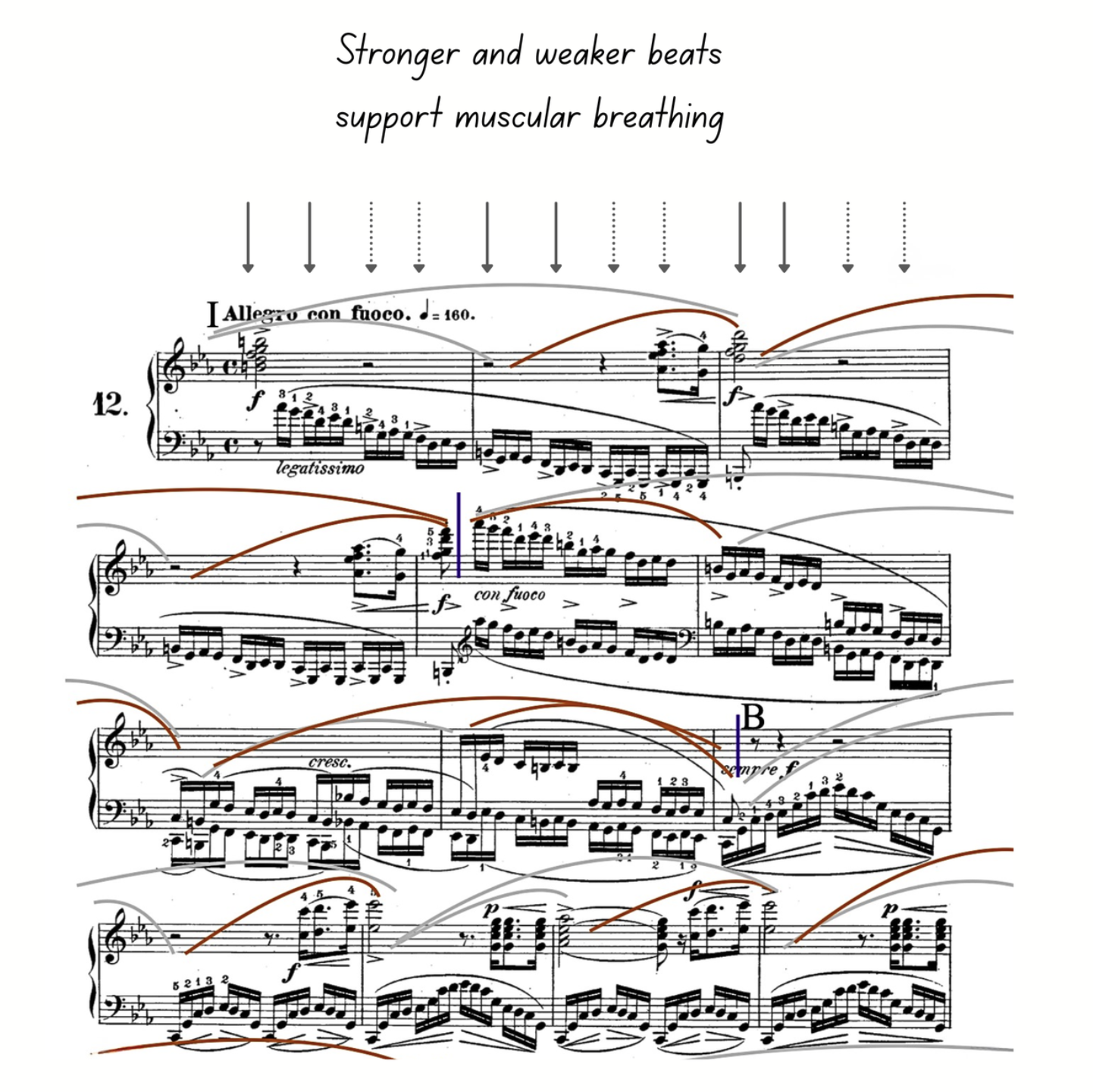 Annotated Chopin étude score with a row of solid and dotted downward arrows above the top staff, marking the stronger and weaker beats of the pulse. A note reads “Stronger and weaker beats support muscular breathing.”