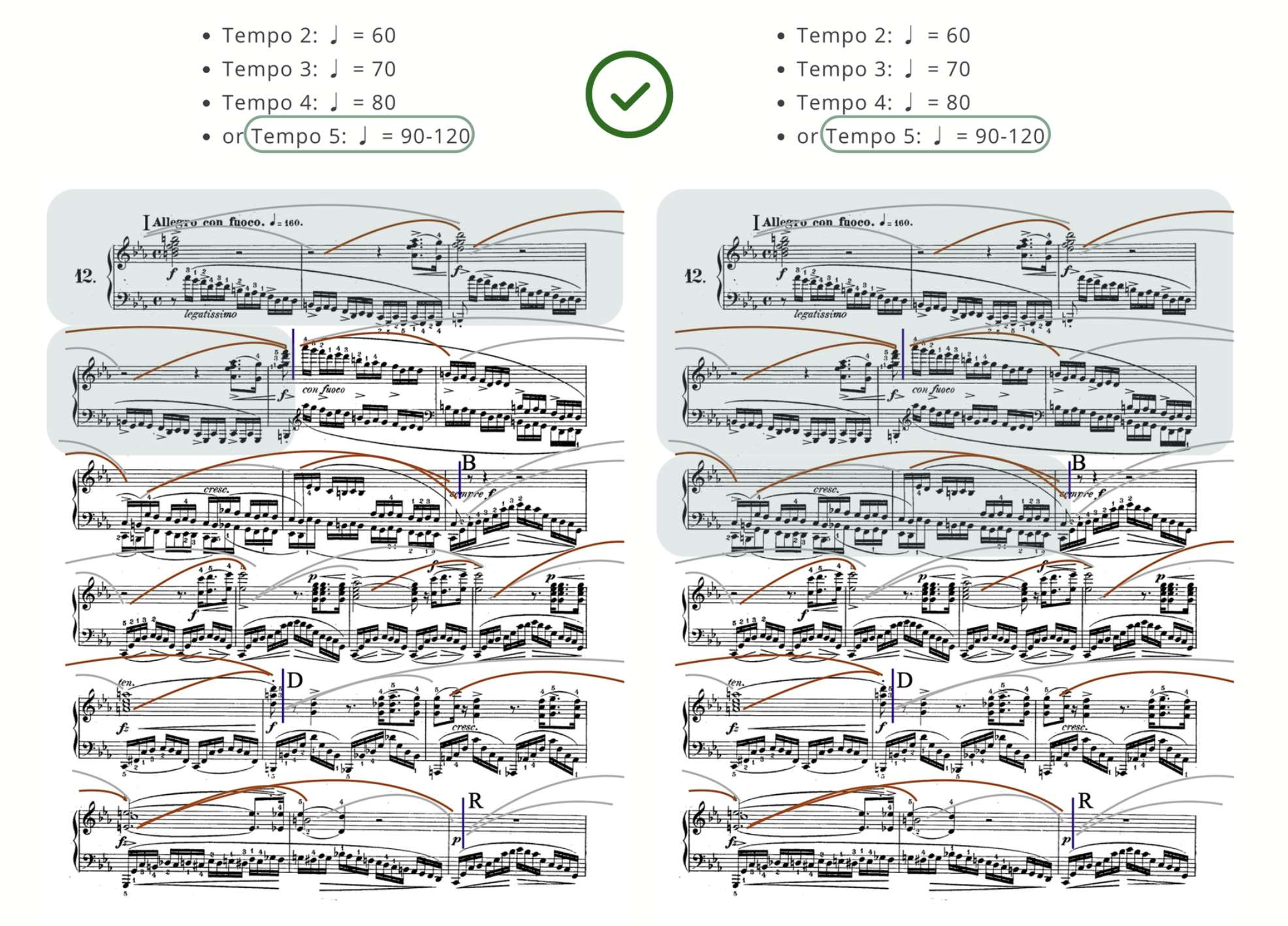 Two side-by-side annotated Chopin étude scores marked with a green check. Both panels circle Timing 5 (♩ = 90–120) in the tempo list, with the two-sentence section highlighted — showing the larger section carried through to its final tempo.