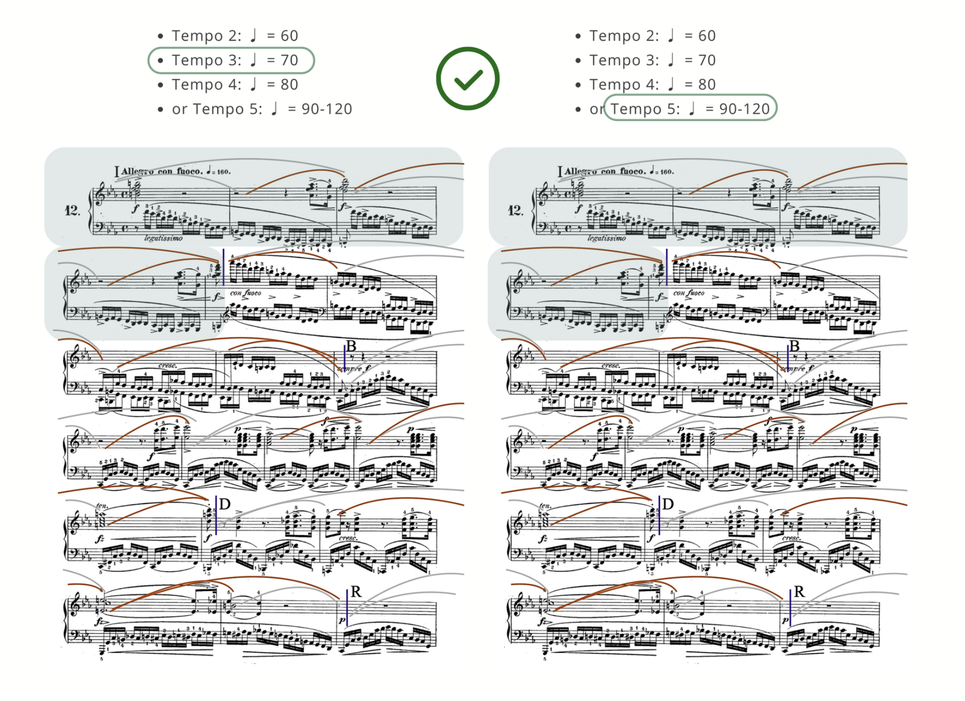 Two side-by-side annotated Chopin étude scores marked with a green check. The left panel circles Timing 3 (♩ = 70) and the right panel circles Timing 5 (♩ = 90–120) — showing Timing 3 made comfortable and reliable before building up to the faster timing.